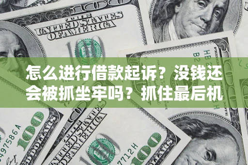 北京怎么进行借款起诉？没钱还会被抓坐牢吗？抓住最后机会！