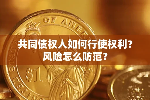 北京共同债权人如何行使权利？风险怎么防范？